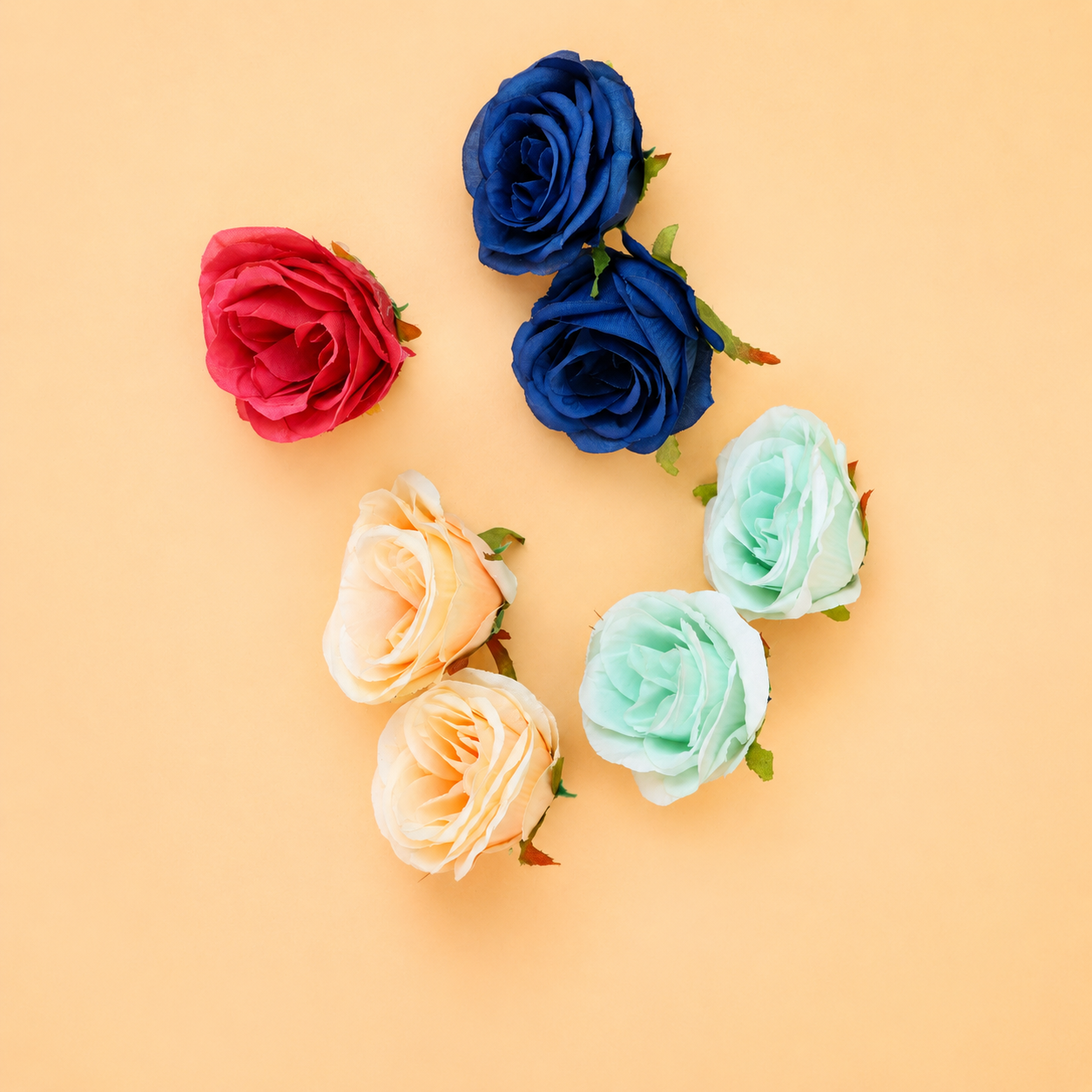 Big Roses Pack of 6