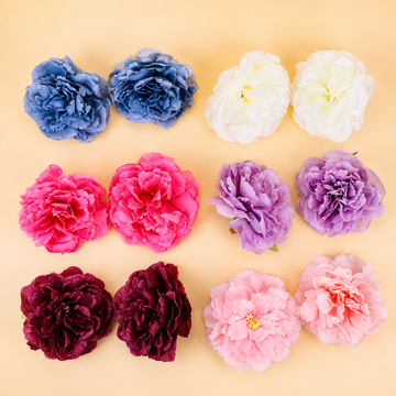 Big Carnations Pack of 6