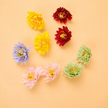 Small Carnations pack of 12