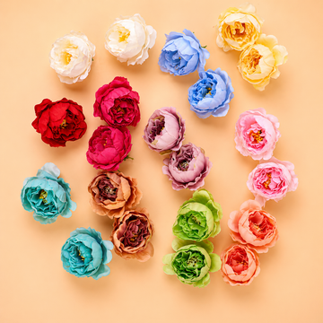 Medium Peony pack of 12